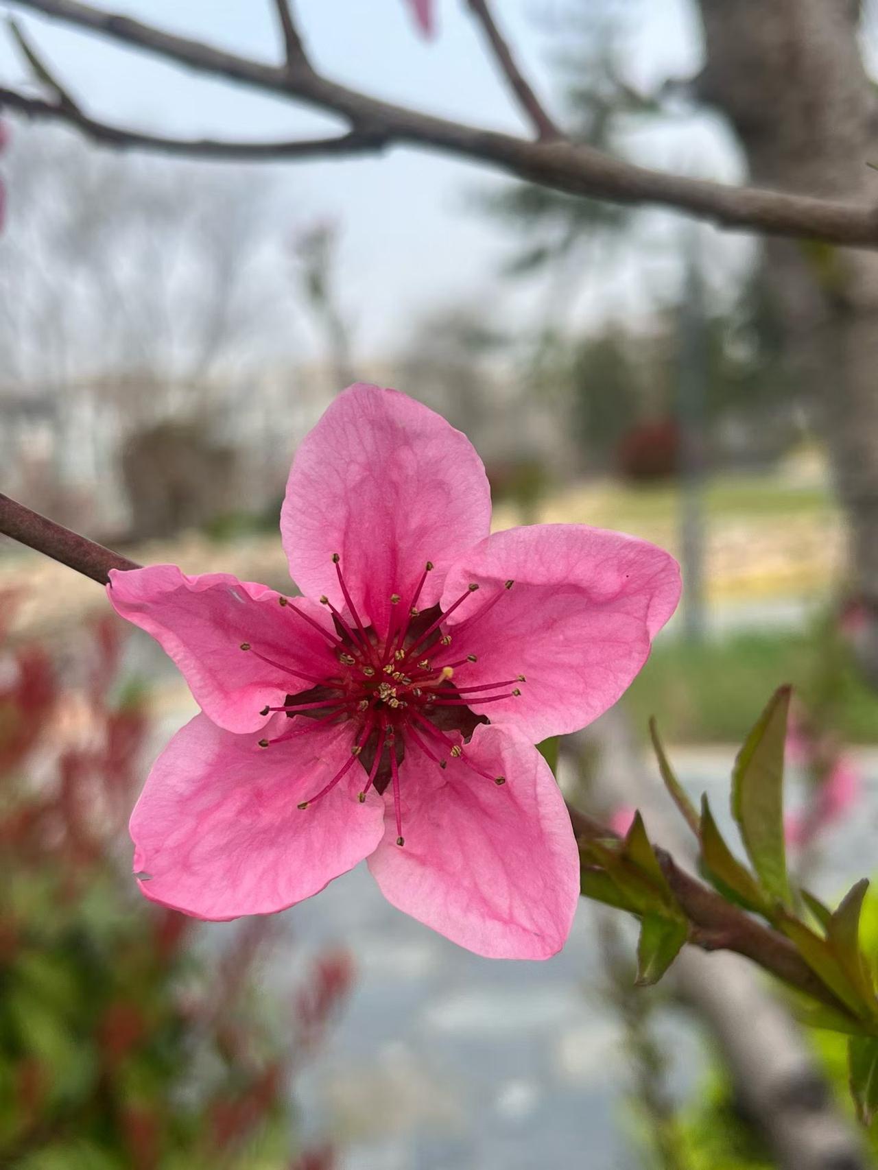 表姐的儿子结婚，过程简单的让我不敢相信。家里亲戚一共坐了5桌，都是我们这些七