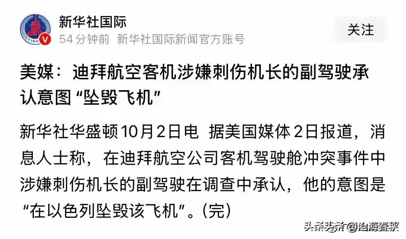 阿曼的副驾驶已经承认他此举的目的就是“让此飞机在以色列坠毁”他之前就曾有过前