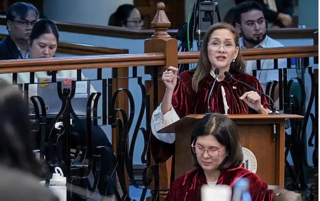 周二，菲律宾参议员丽萨·洪蒂韦罗斯呼吁菲律宾国会进一步限制政府机密和情报资金的使