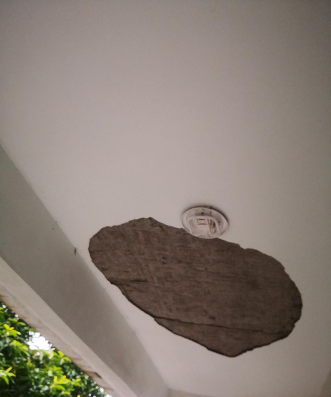 昨天下午，我使用近20年的阳台上抹沙脱落了一大块，面积近两平米。是我的责任呢还是