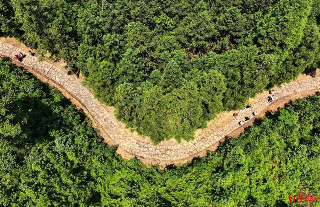 四川深山发现2.7公里茶马古道：立有石碑，杨慎、奢香夫人或都走过这条路