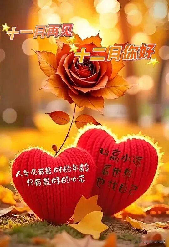 告别十一月的忙碌与奔波，迎接十二月的从容与自在，愿我们在这个月，被温柔包裹，被幸