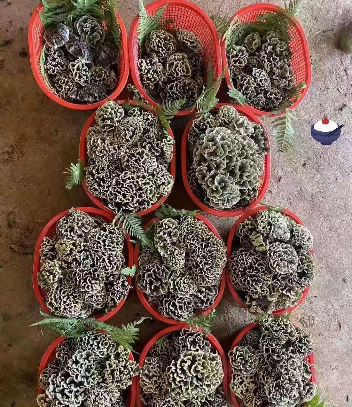 哈哈，这是我的云南朋友给我寄过来的，我打开一看，不知道这是什么东西，好像是水果又