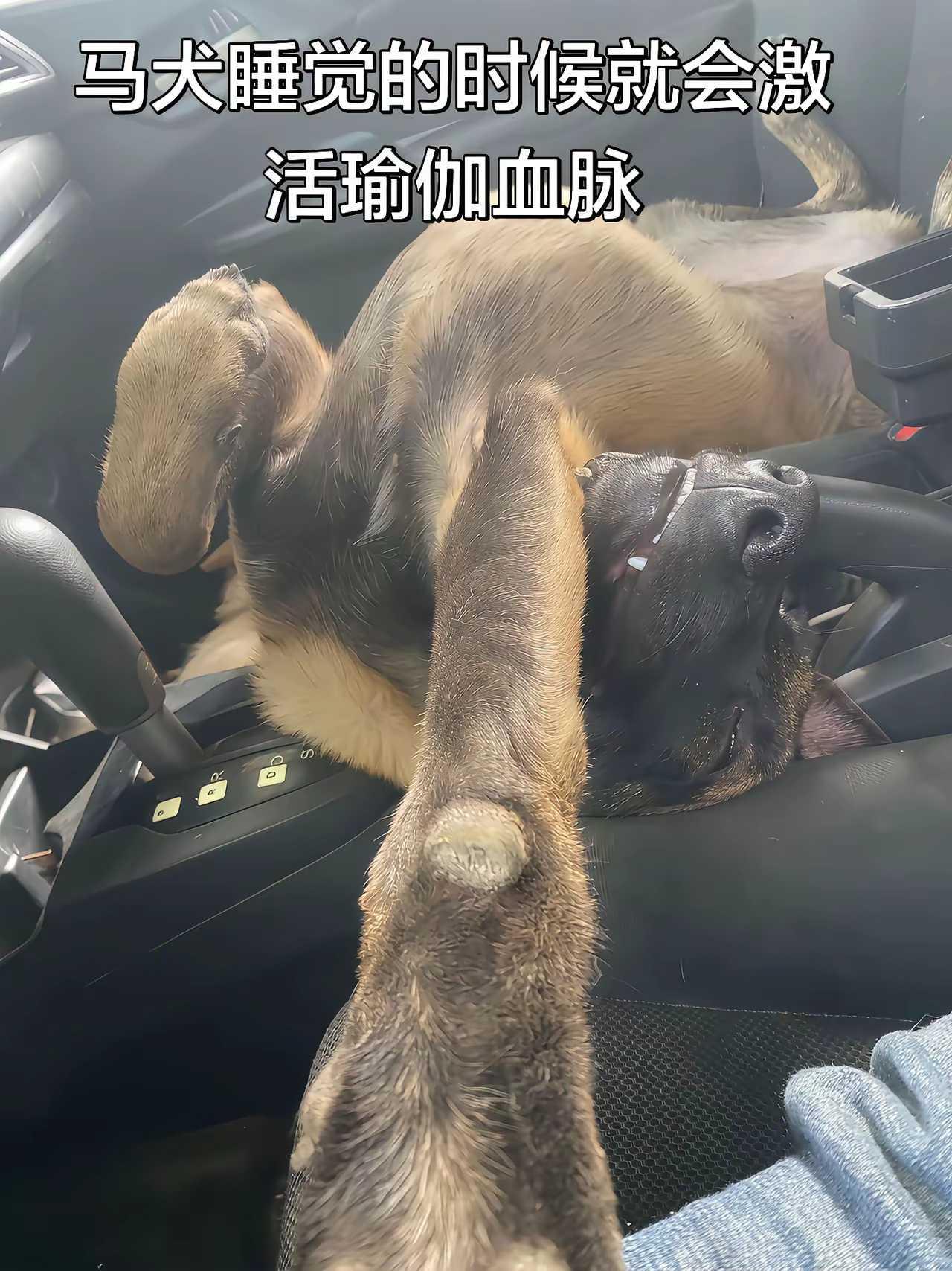 天赋异禀啊