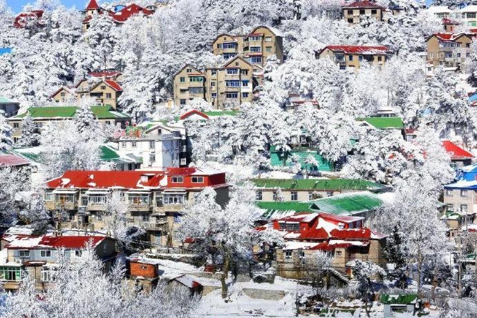 雪后庐山银装素裹，犹如江南北国。