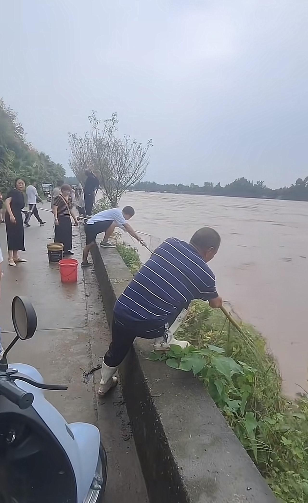 涨洪水就一定有鱼，风浪越大雨越多!个个抽起捕鱼网捕捞!