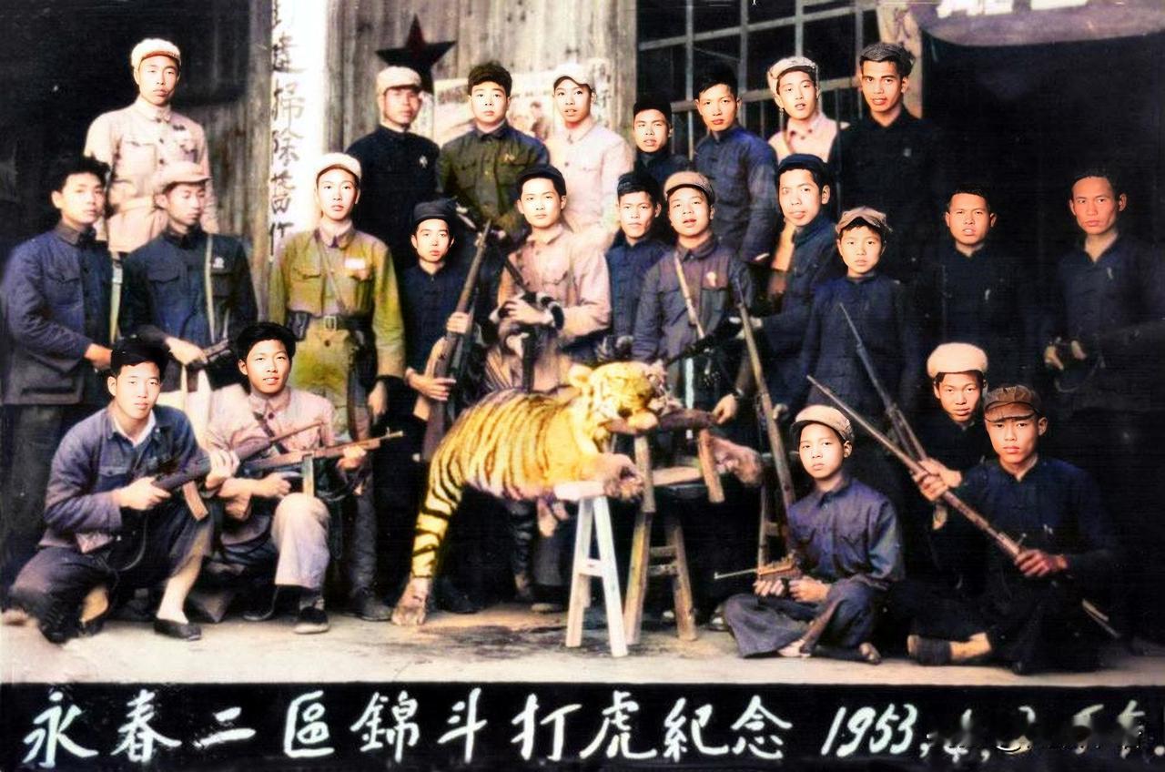 1953年4月2日下午，福建省泉州市永春县锦斗镇的民兵和刚刚被打死的一只华南虎。