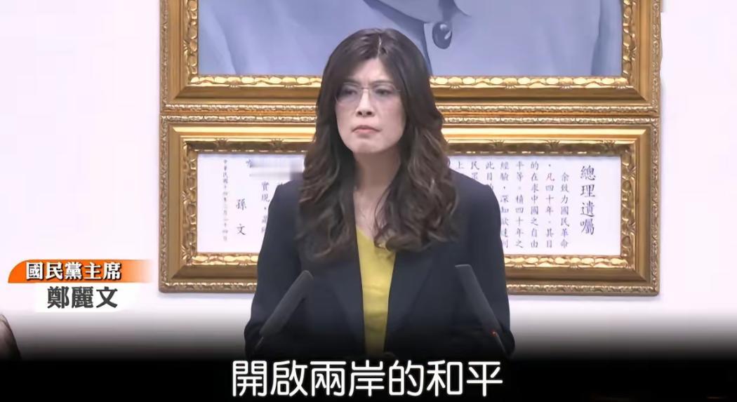 中国国民党赢了。2026年1月30日，中国台湾的立法会里上演了一场激烈的较量，