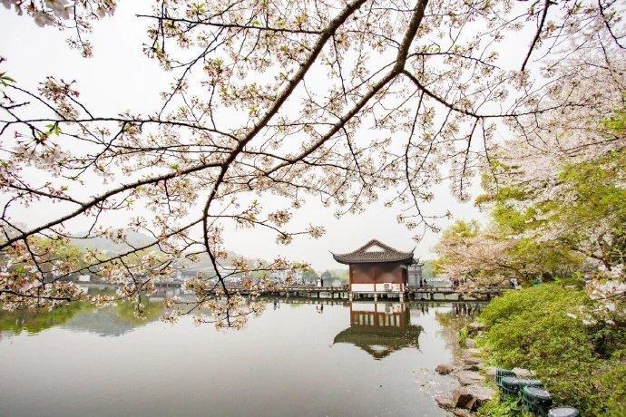 有一种人间盛景，叫杭州春天！