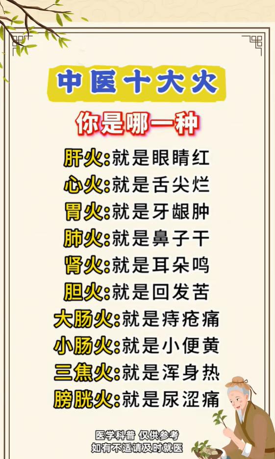 中医理论中，“上火”不是单一病症，不同脏腑出现热象，会在身体上表现出不一样的症