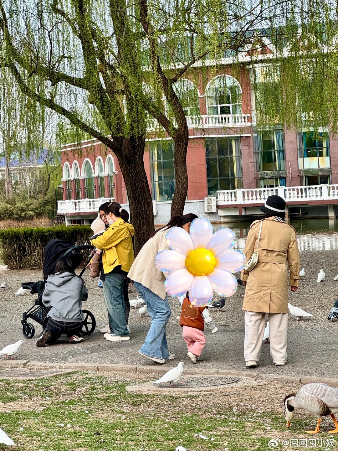 北京偶遇何穗遛娃网友偶遇何穗遛娃网友偶遇何穗遛娃，直言她本人超有气质，又高又瘦超