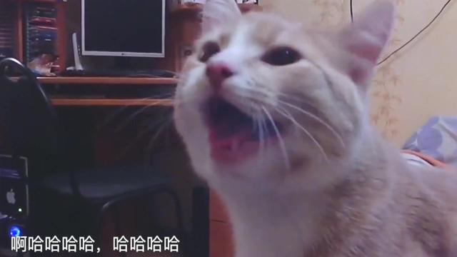 11070833742689790523.jpg?id=0