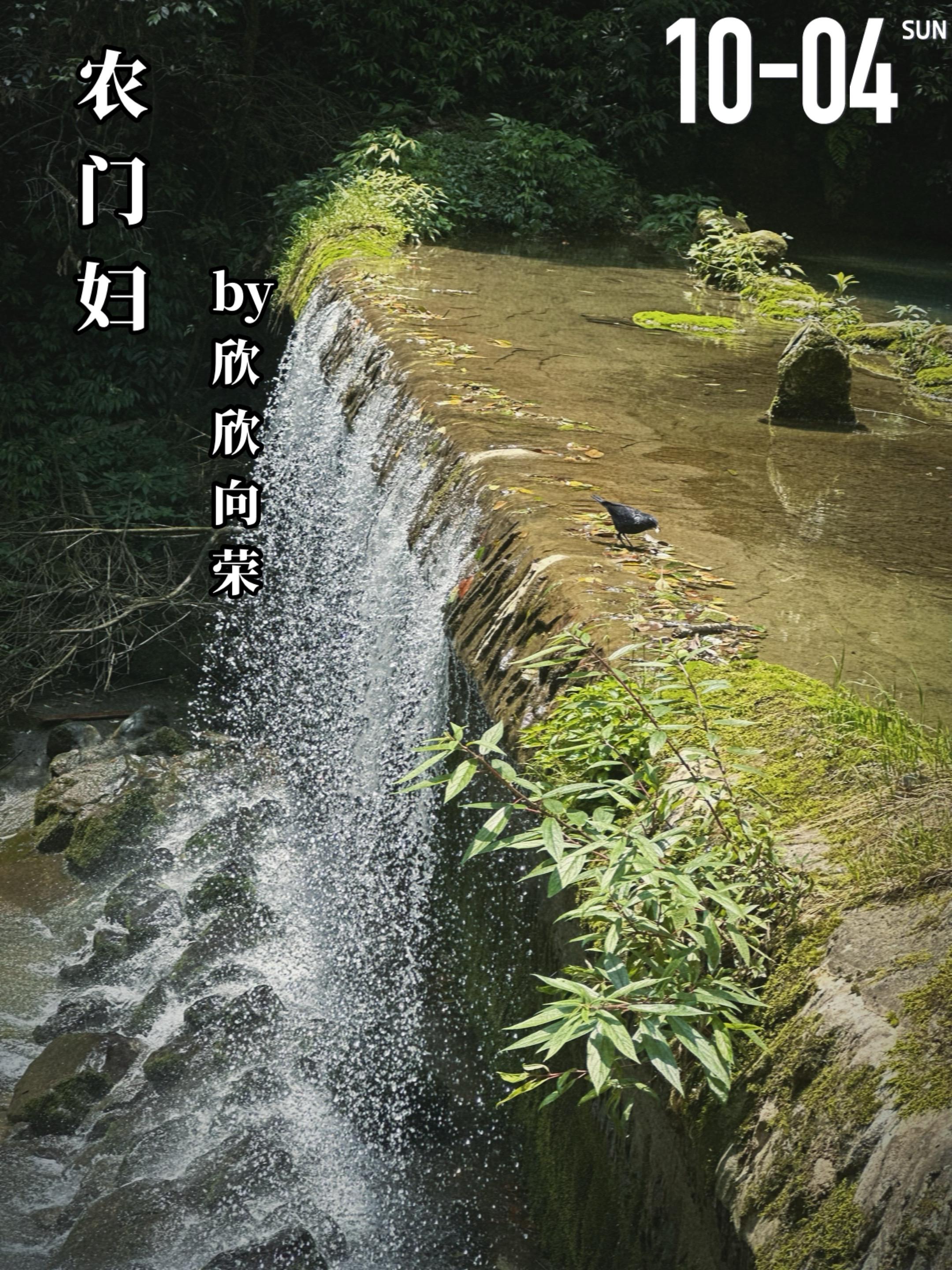 《农门妇》by欣欣向荣。碧青（女主）穿越到灾荒年间，食不果腹，她娘为了...
