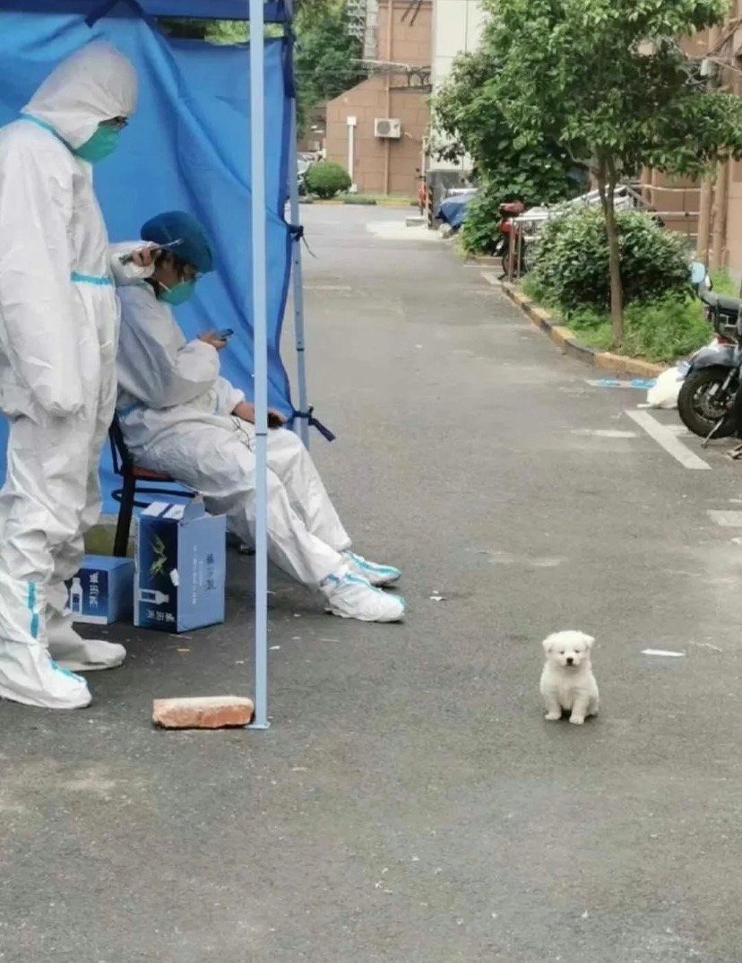 “我妈叫我下来做核酸”​​​