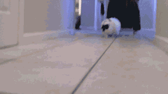 员工中了1500万彩票后直接离职这种好运什么时候莫名其妙砸到我头上，我愿意用减