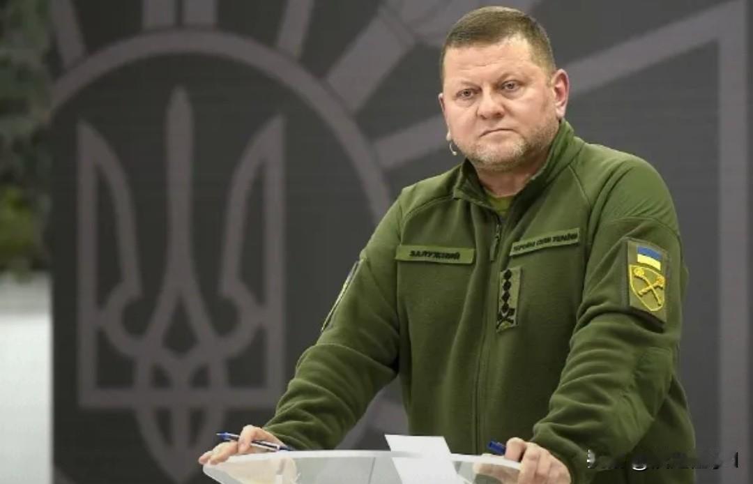 乌军前司令扎卢日内放狠话：割地没用，乌克兰得搞核弹！乌克兰驻英大使、前乌军总
