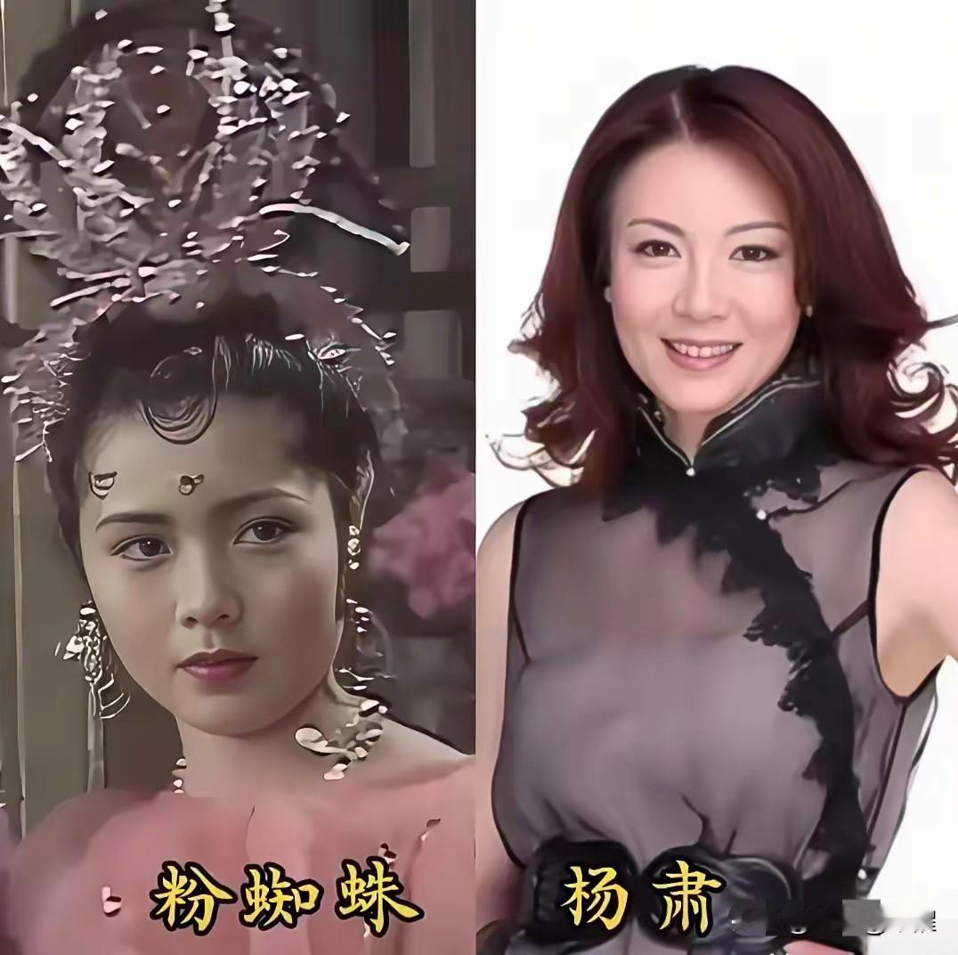 86版西游记盘丝洞七蛛女，戏外人生各有境遇提起86版西游记盘丝洞，七位容貌艳