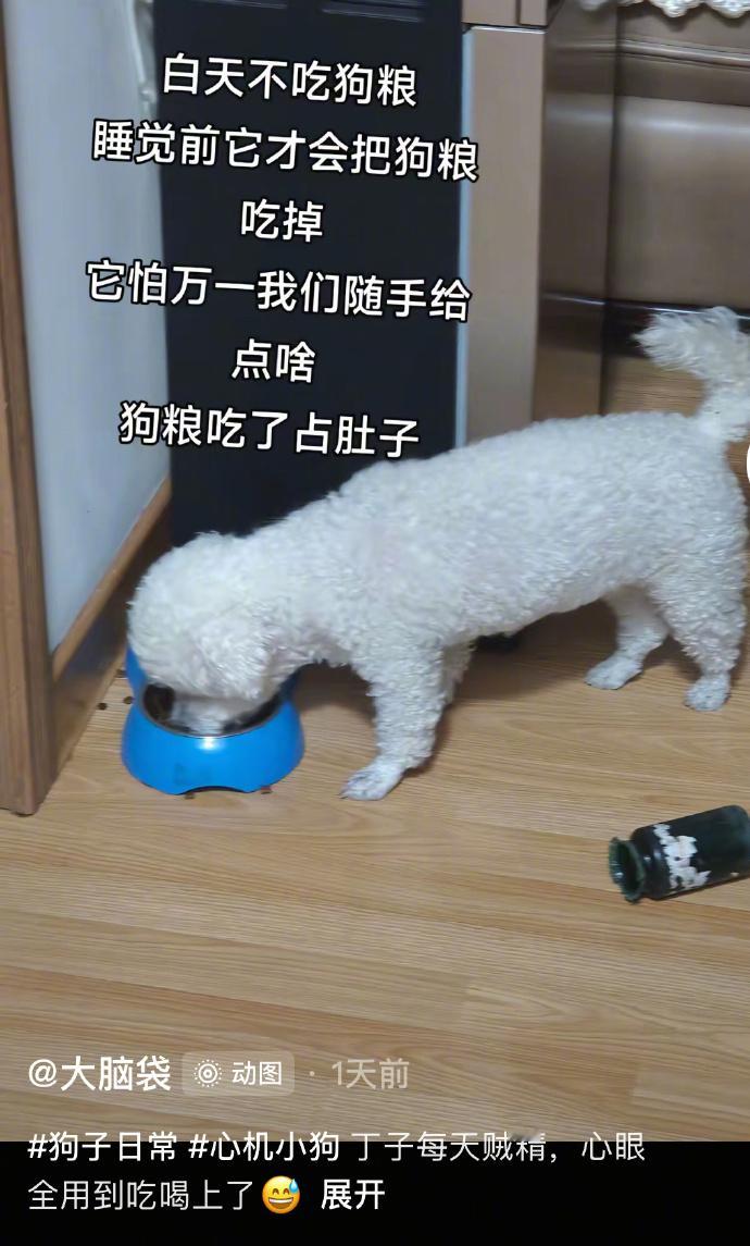 原来是赌狗赌到最后没招了​​​​