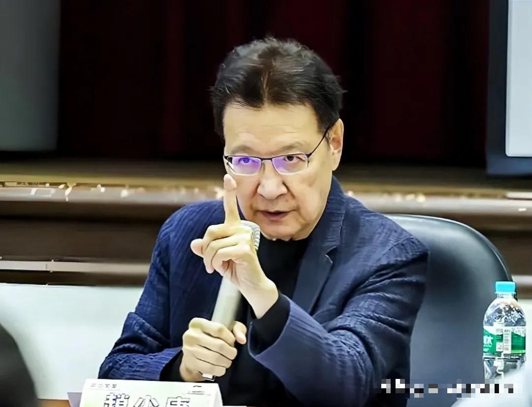 “大陆好像是故意放佩洛西进入台湾的！”很久之后，台湾知名评论员赵少康表示他终于回