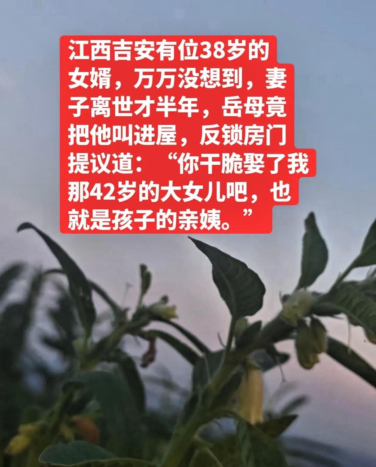 江西吉安有位38岁的女婿，万万没想到，妻子离世才半年，岳母竟把他叫进屋，反锁房门