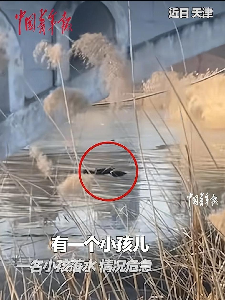 怎么会有这样的父亲？不顾自己的孩子，却舍生去救那个陌生的孩子！零下十度的冰湖