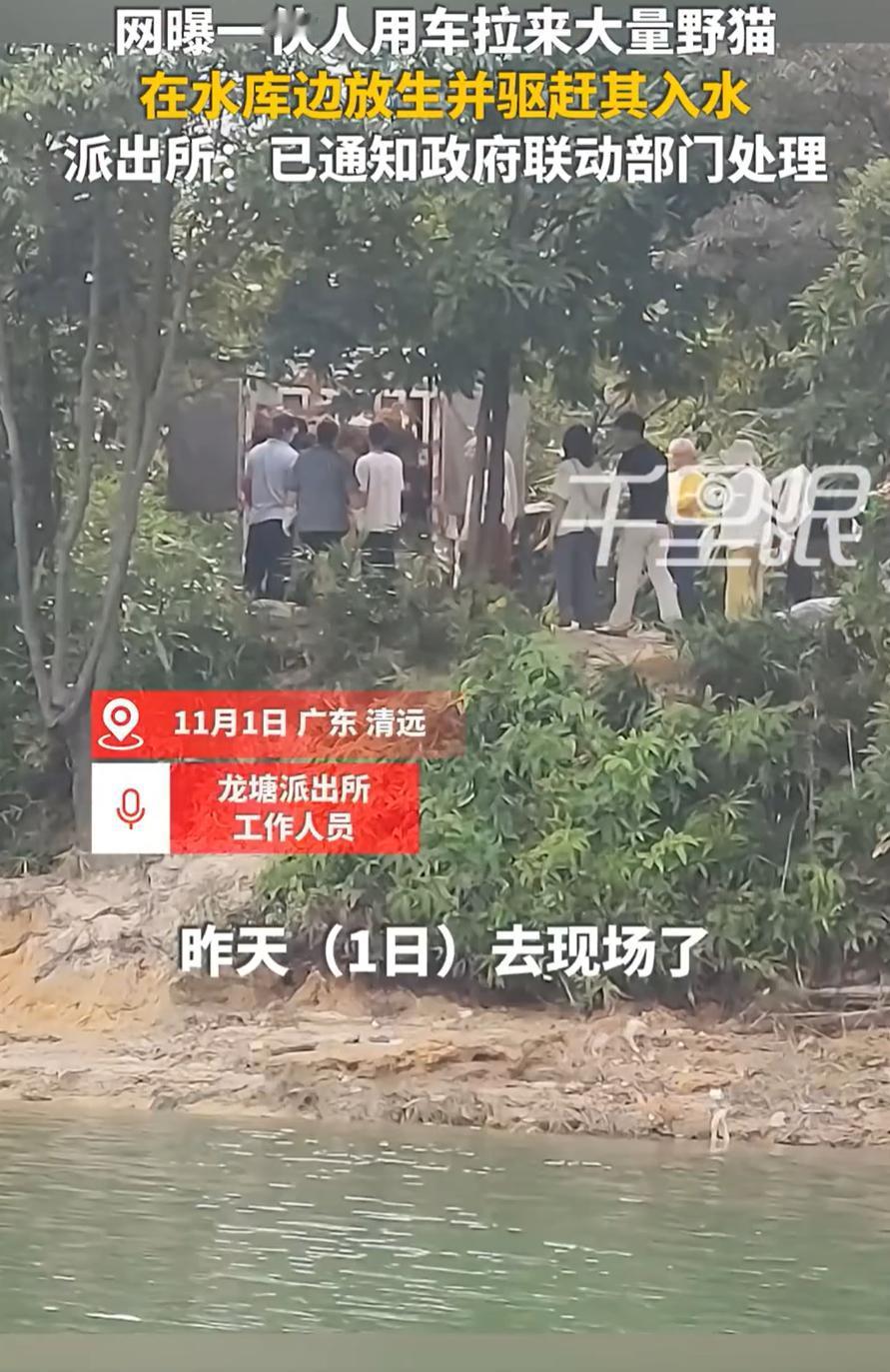 “又蠢又坏！”广东清远，一男子看到一群人开车过来，起初不清楚他们要做什么，直到看