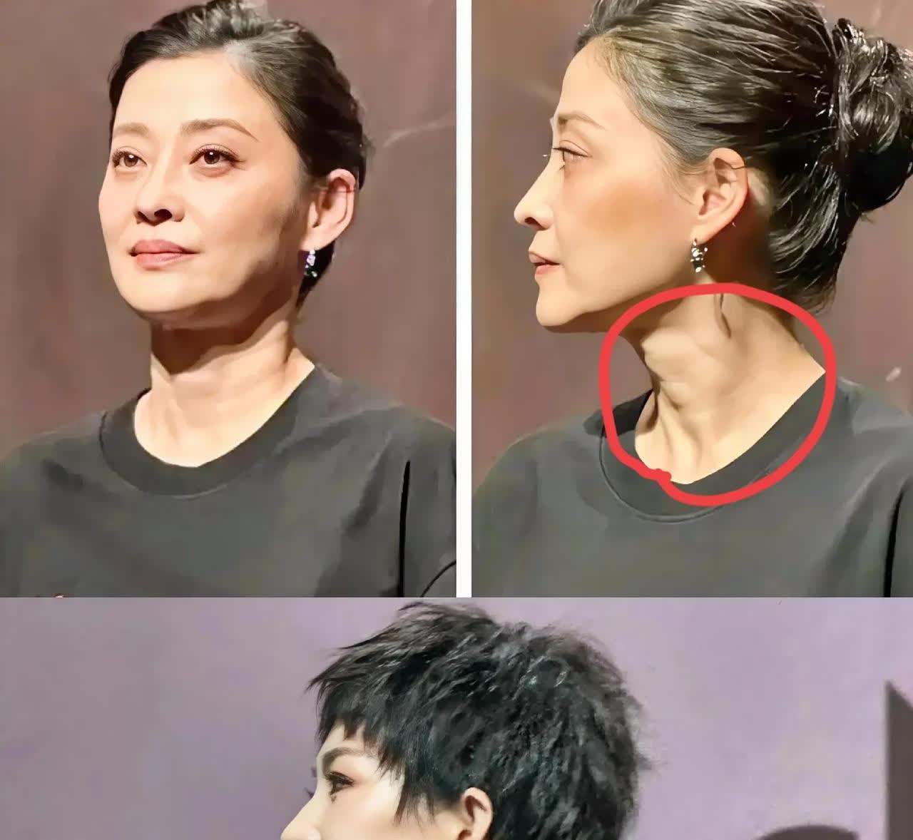 梅婷，不应该啊！这状态，才50岁就这么老了？《酱园弄》宣发，三个