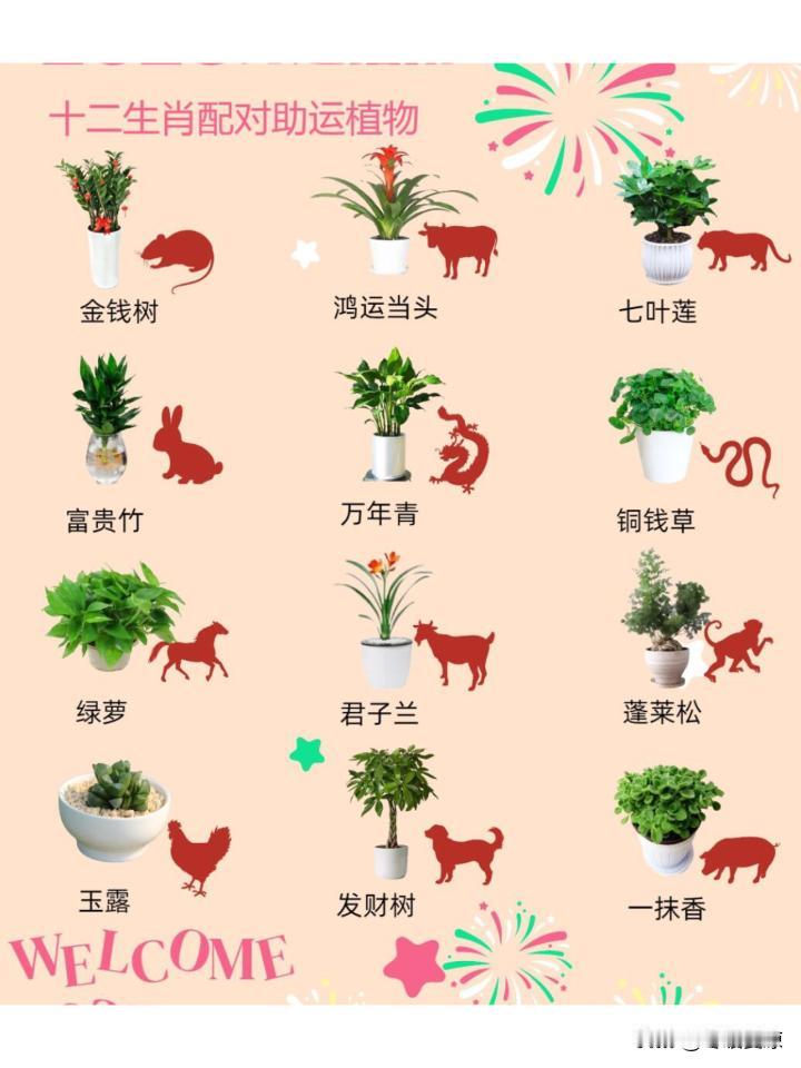 十二生肖谁最傻谁最精1. 外傻内精：肖鼠，肖狗，肖猪外表看着憨厚随和、不