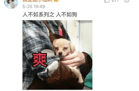 鹿晗发微博 网友直呼不如狗?