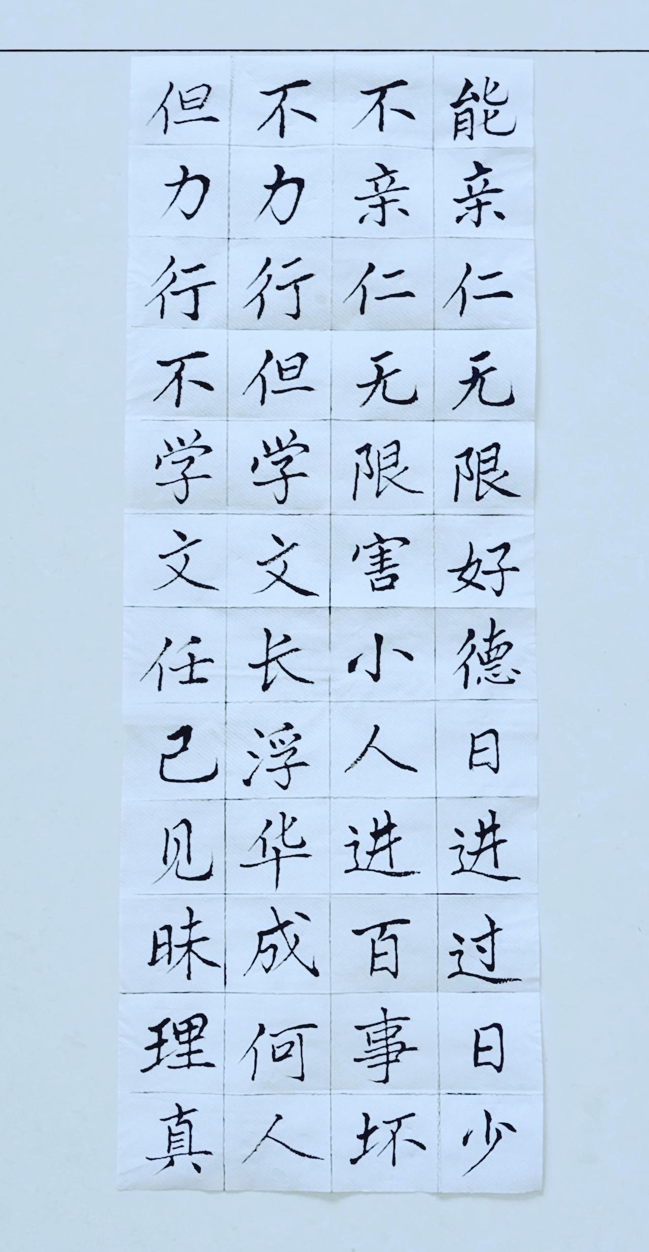 第四十三天《弟子规》（20）楷书练习！毛笔楷书练字楷书初练