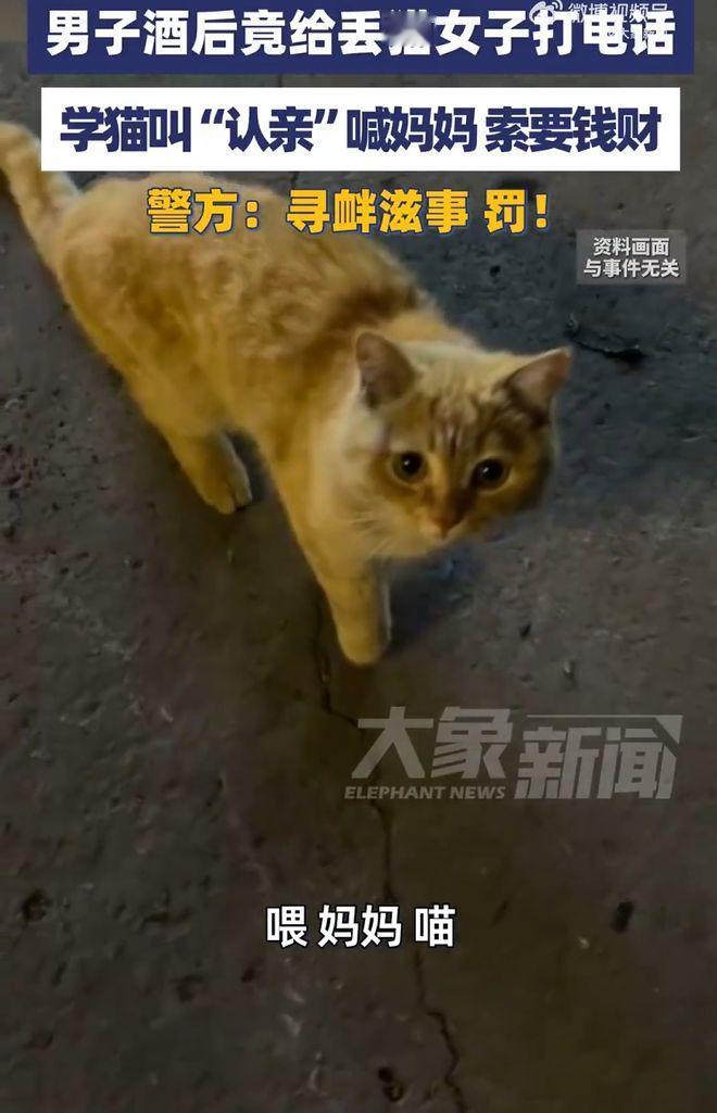 不作死就不会死！天津，一名男子喝醉酒后看到路边贴着一张悬赏2000元的寻猫启事