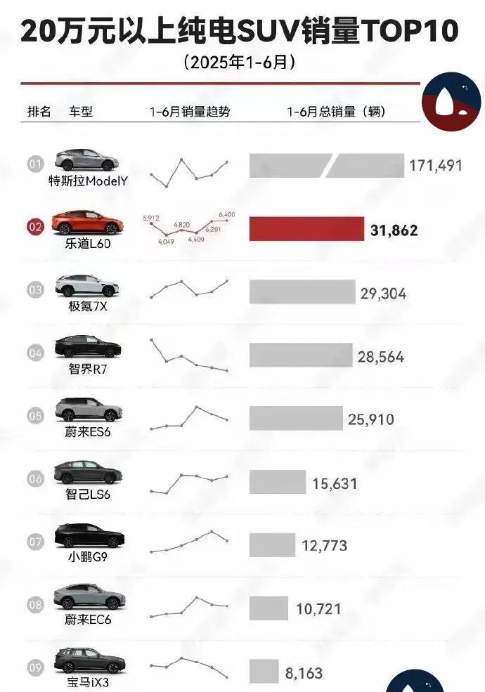 上半年，特斯拉霸榜纯电。第二名只有特斯拉的零头。