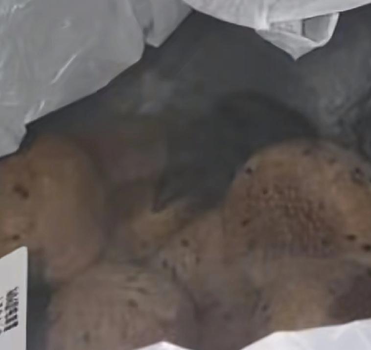 深圳一个朋友点了一份外卖，结果到了后打开盒子，整个人都麻了本来这位朋友突然想起