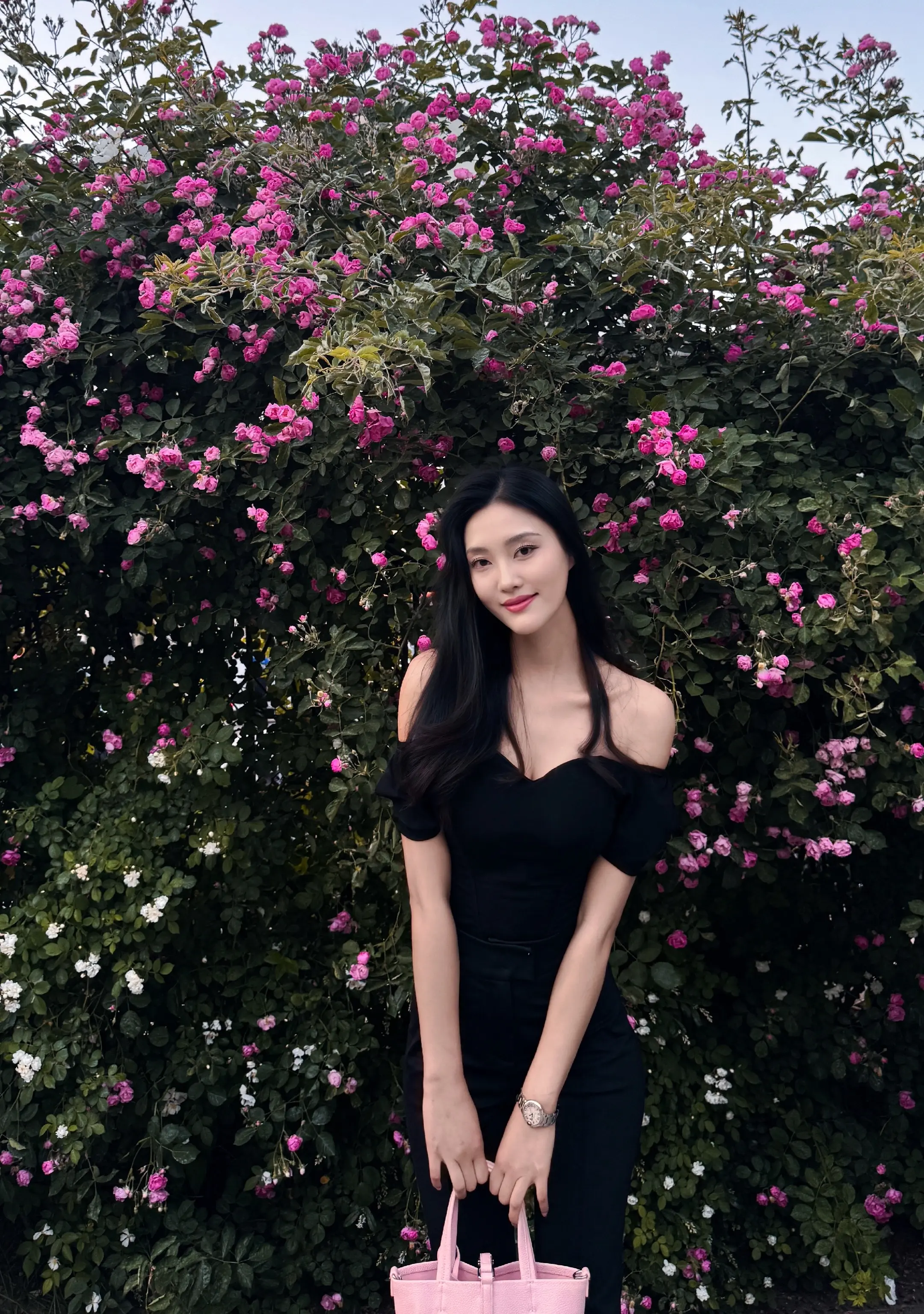 蔷薇花的季节