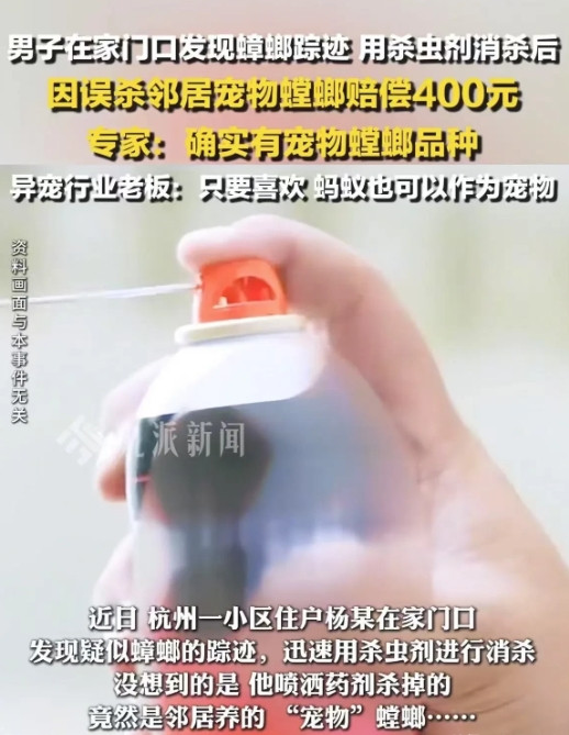 浙江杭州，一男子发现家中门口有蟑螂，他拿起杀虫剂对着蟑螂就是一顿喷，谁知邻居怒了