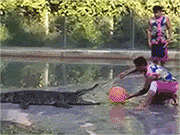 爆笑GIF: 就算有满满一嘴的胡子渣, 也挡不住你绝美的容颜!