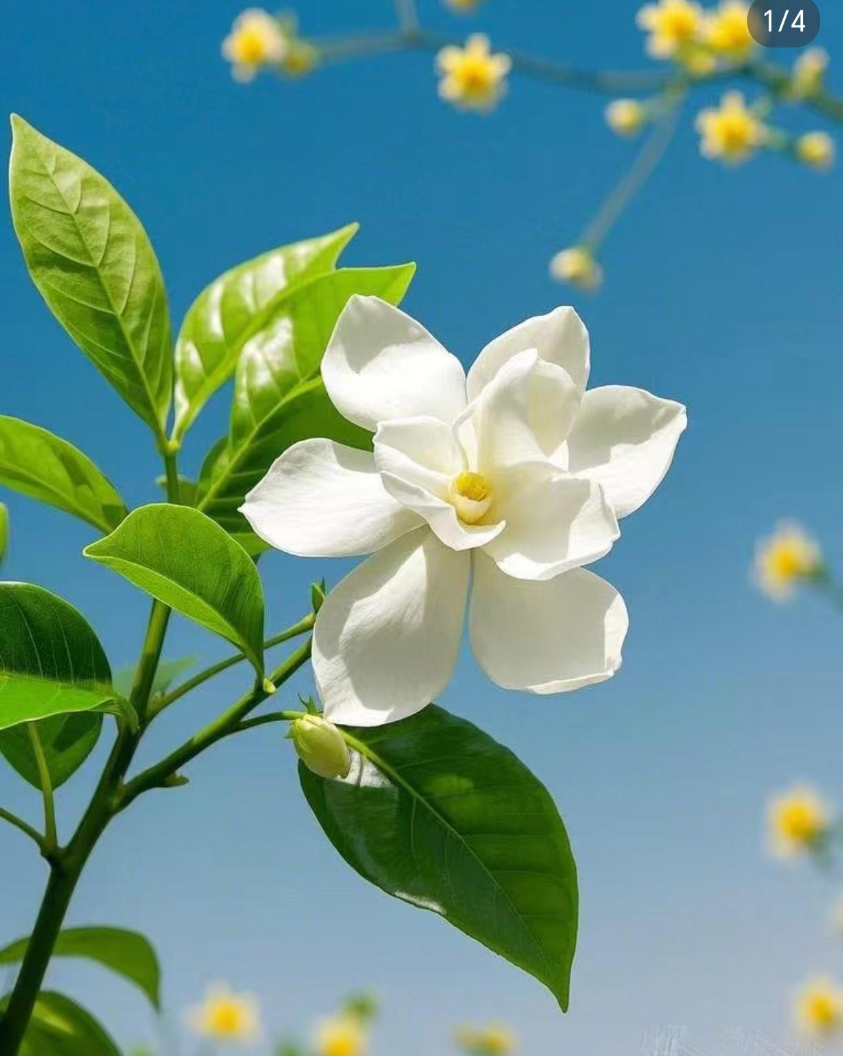 今天不知明天事我信了我今年都45了我劝大家凡事都想开点吧生命就一次，很多