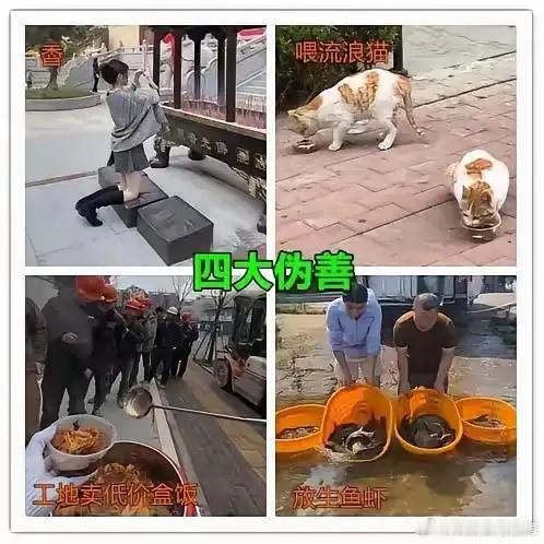 为啥这四种都是伪善？​​​