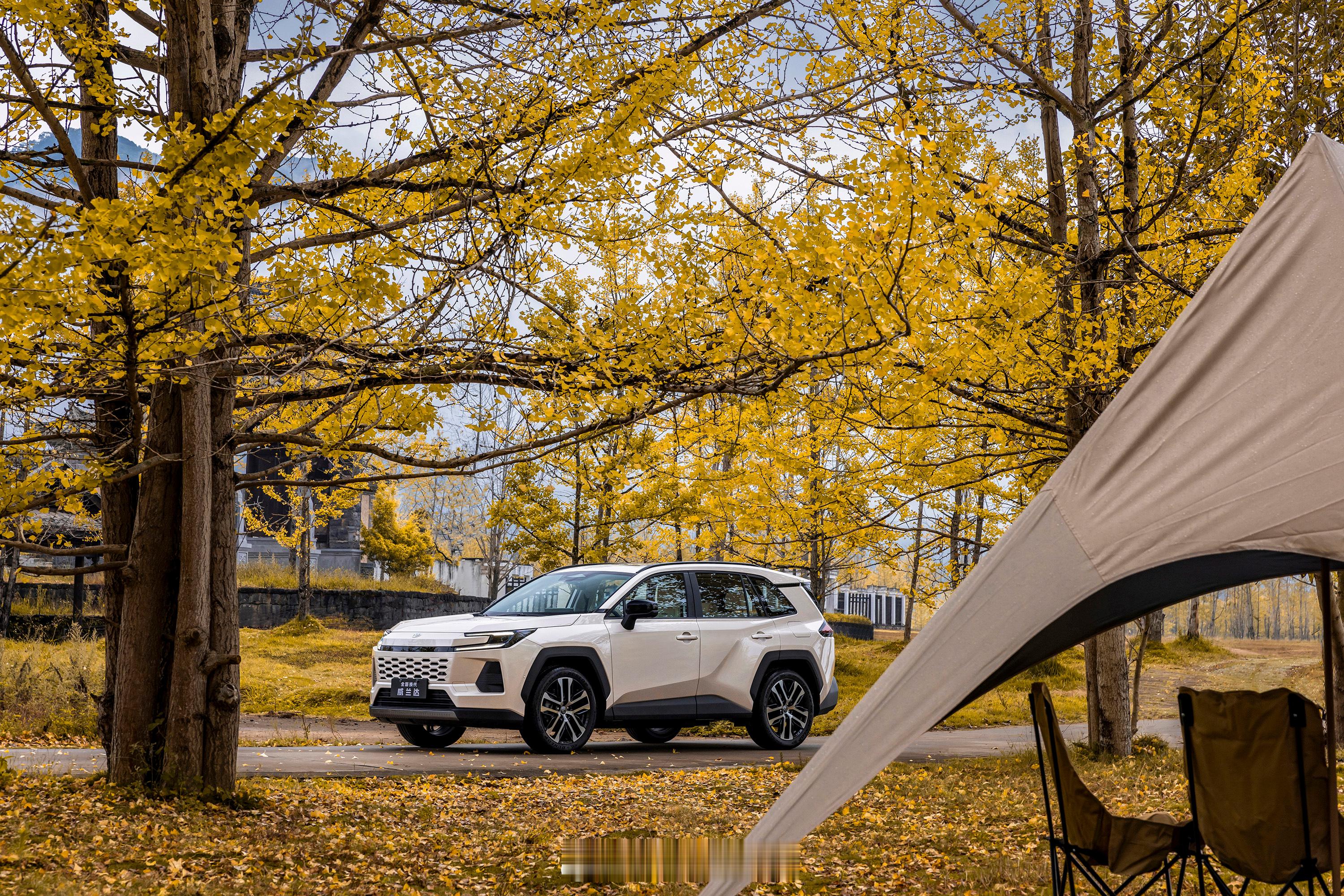 日系中午是开窍了。。首先得好看。。其次这配置咱得跟上。。20万内混动首选全新威兰