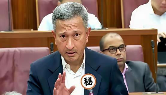 新加坡急了。在东盟的会上，外长几乎是拍着桌子，让中国“尊重”马六甲的地位。翻译一