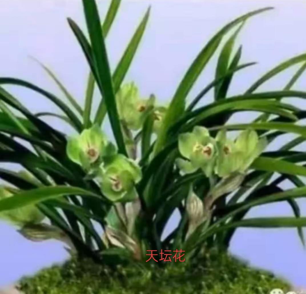 生命是一场奔赴，也是一场体验。有人说，人生如白驹过隙，转瞬即逝；有人说，生命如一