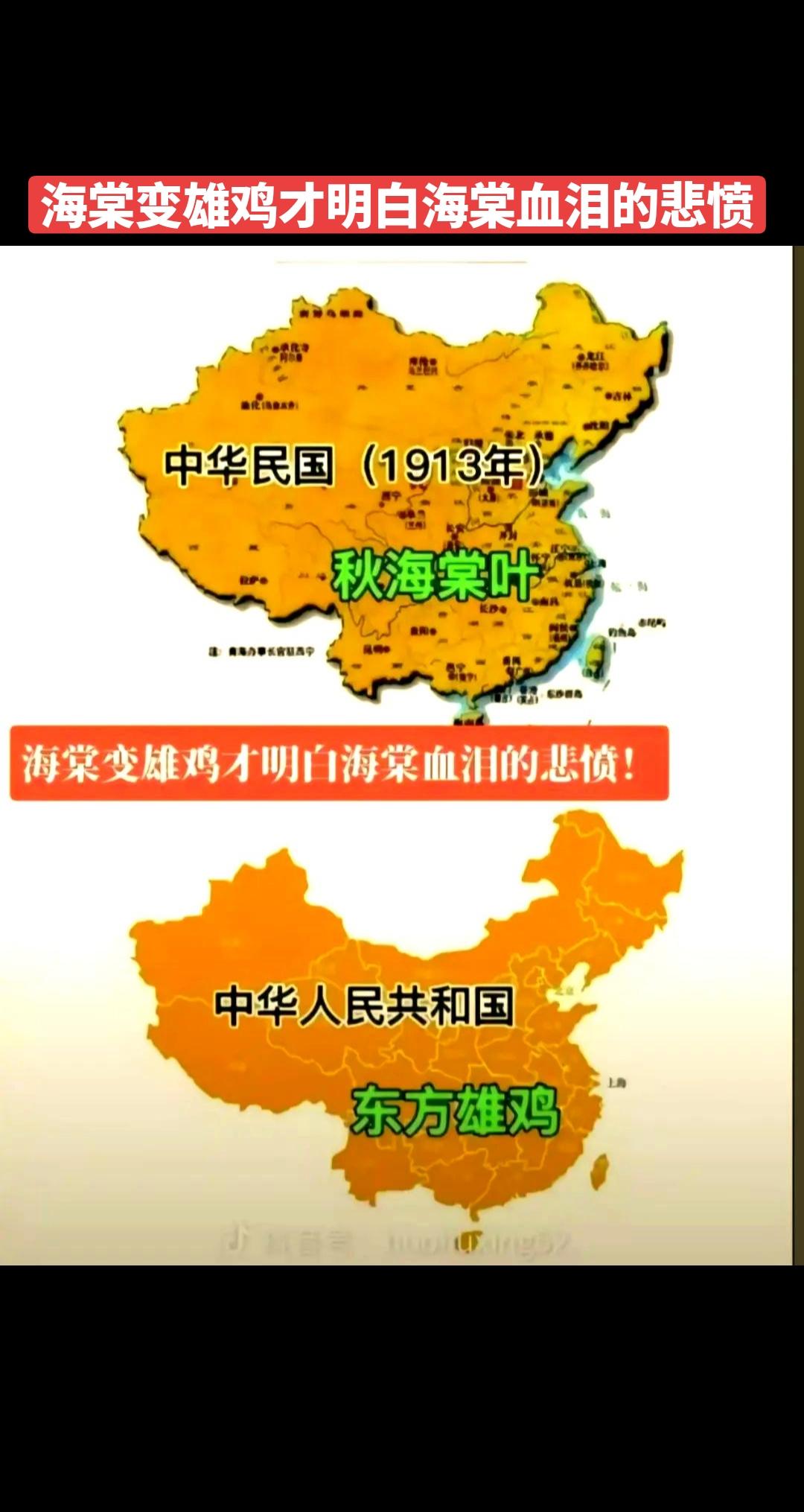海棠变雄鸡才明白海棠血泪的悲侦！
