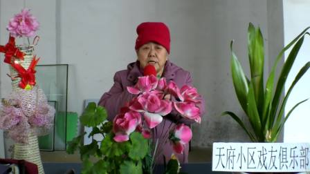 苦菜花花开闪金光曲谱_苦菜花开闪金光简谱