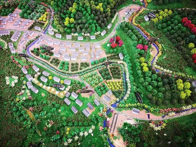 农村规划要适应现状，得从多方面着手。现在农村人口结构变化大，年轻人大多外出打工，