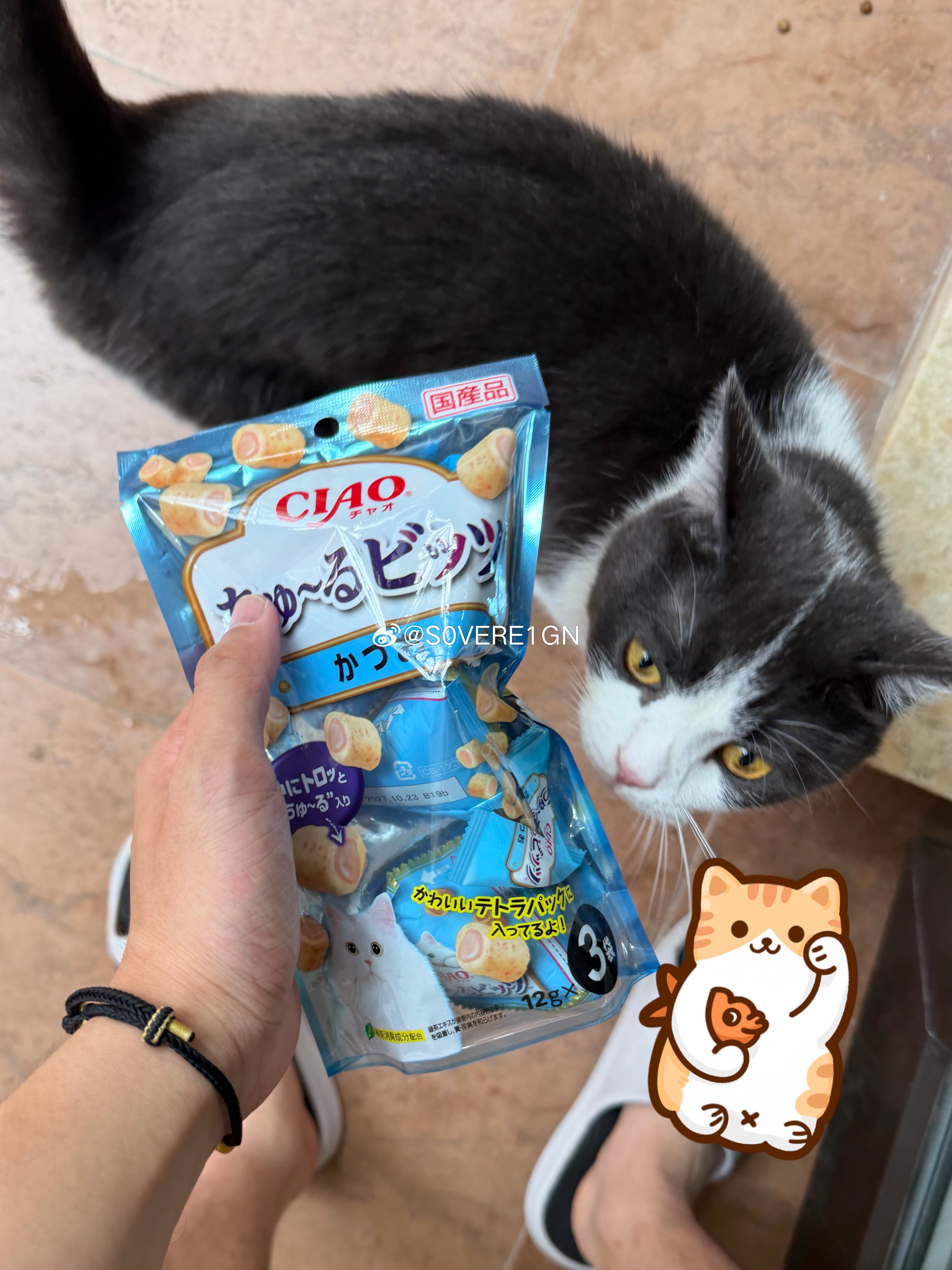 也给咪带了日本小零食成都