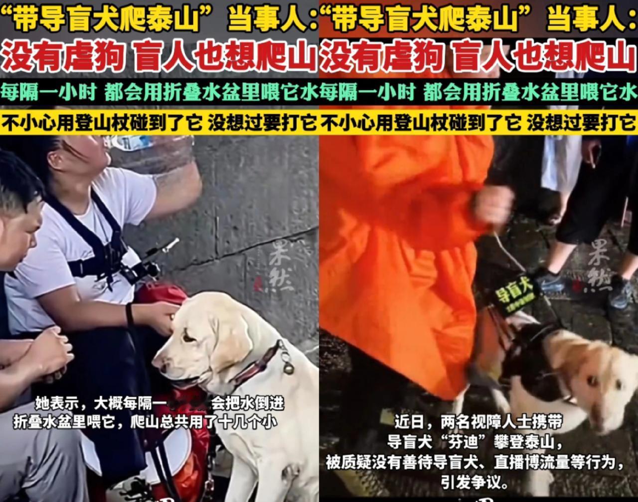 真当大家眼瞎？王营营带着导盲犬爬山还喊冤，说什么“盲人有爬山权”，这话听着没毛