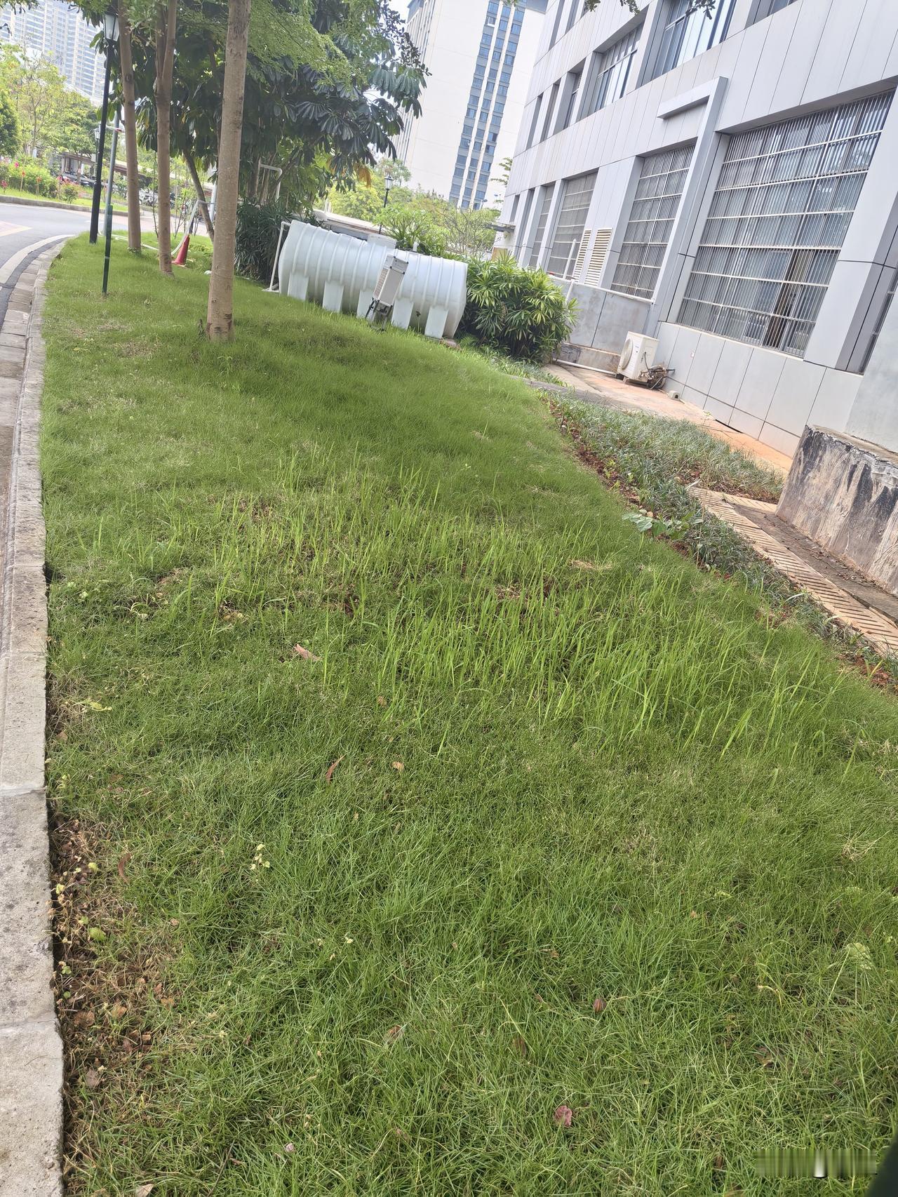 人这一生有什么东西永远属于自己什么东西永远属于自己？那恐怕只有你自己了，什么东西