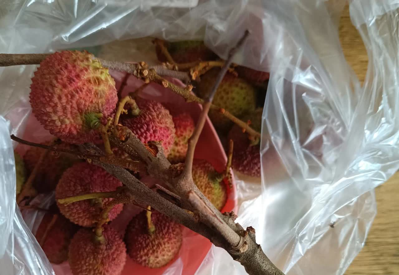 今天我买的荔枝12.8一斤，广东产的白糖罂荔枝，买回来了，我老婆大吵大闹，说我为