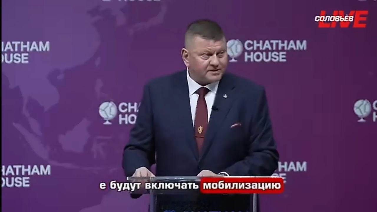 乌军前总司令扎卢日内称，未来战争不再需要动员数百万士兵去蹲坑填线，而是用无数机器