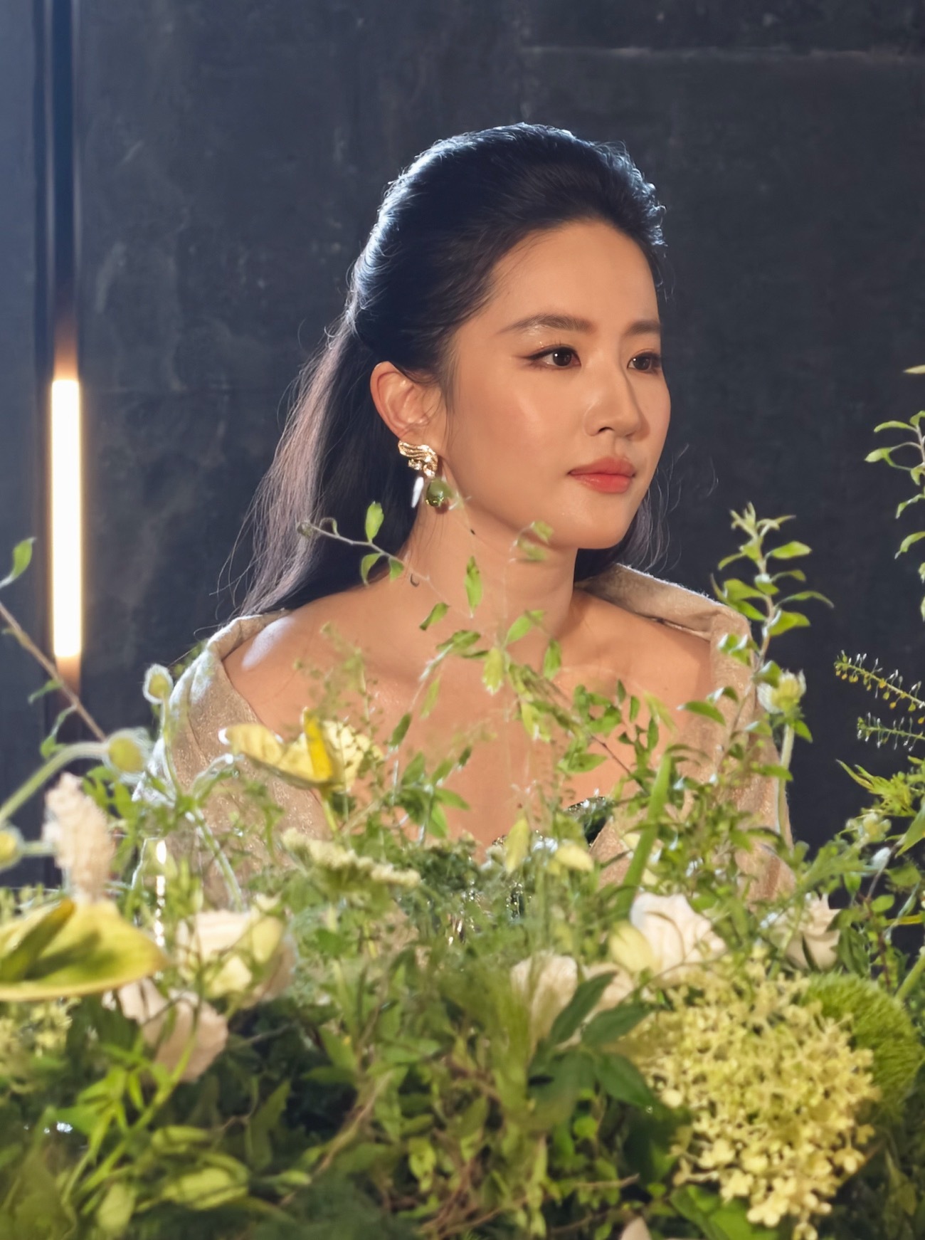 刘亦菲今晚状态太牛了…好饱满的鼻基底，好可怕的面部平整度，纯生图甚至比精修好看多